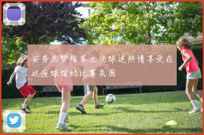安芬尼赞绿军主场球迷热情享受在这座球馆的比赛氛围