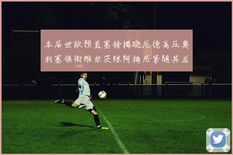 本届世欧预直塞榜揭晓厄德高压奥利塞领衔维尔茨琼阿梅尼紧随其后